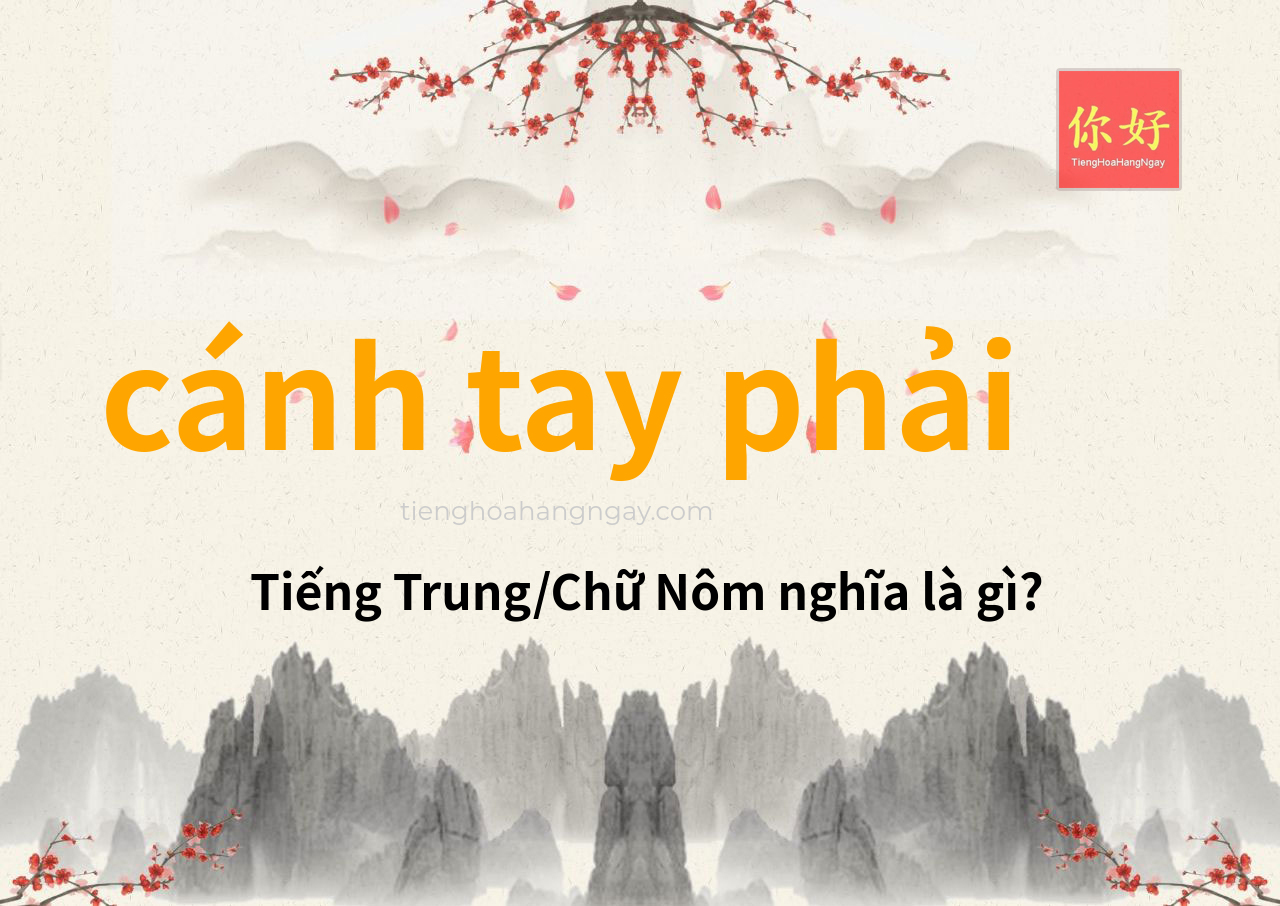 cánh tay phải tiếng Trung là gì?